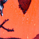 Αδιάβροχη μπέρτα-poncho DISPAN orange camo κωδ. DISP-87ΠΚ - Image 2